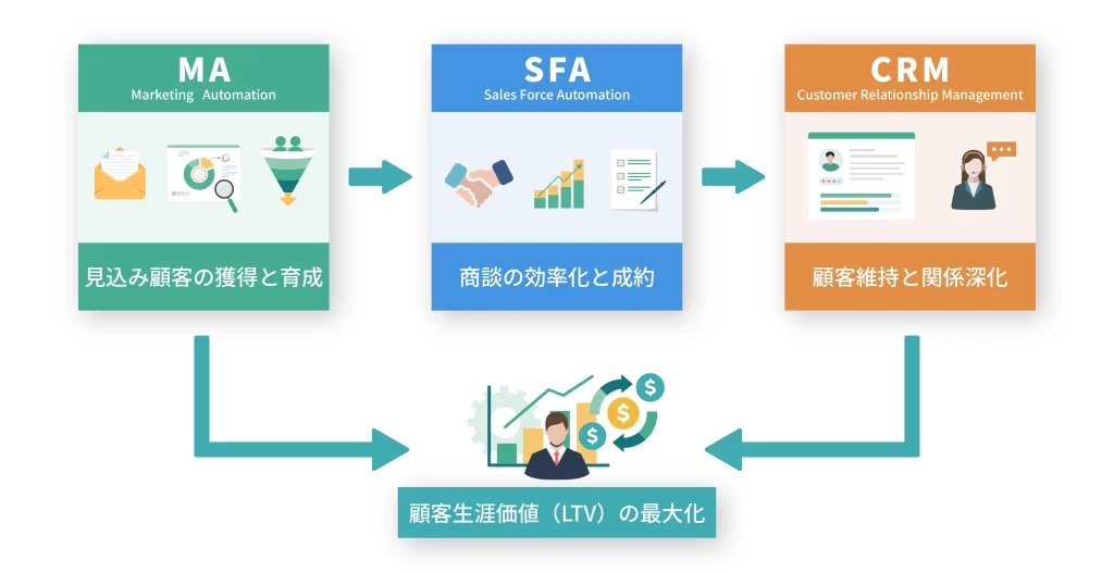 MA、SFA、CRMの役割と連携フローの図解。見込み顧客の獲得と育成(MA)、商談の効率化と成約(SFA)、顧客維持と関係深化(CRM)が連動し、最終的に顧客生涯価値(LTV)を最大化するビジネスプロセスを示している。